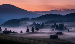2711 Fotograf  Henning Bossen  -  Low hanging mist  